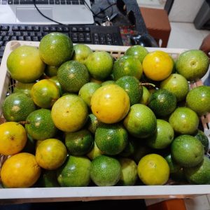 নরমাল গ্রেড (কক্সবাজার বীচে যেটা বিক্রি হয়)