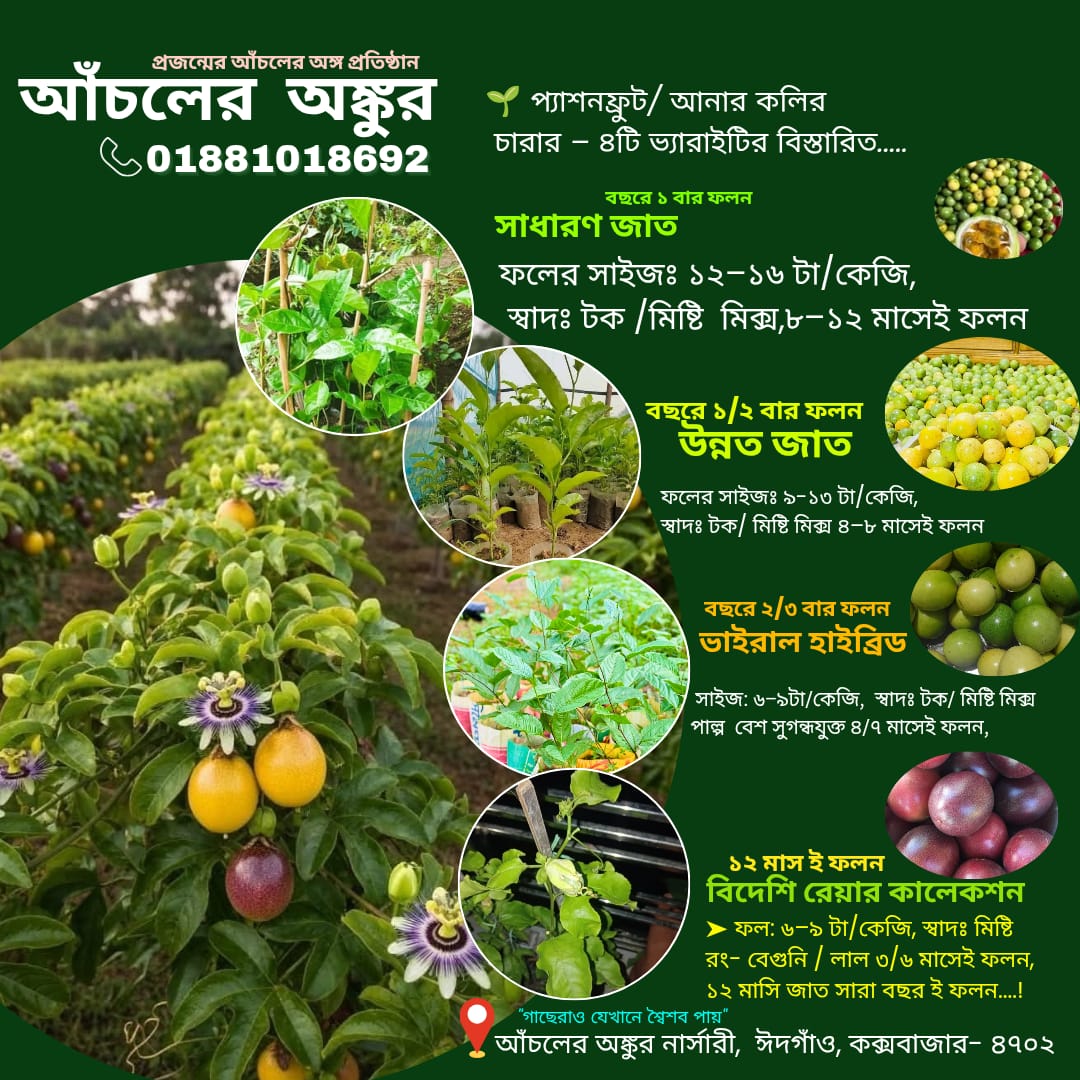 WhatsApp Image 2025-10-19 at 06.17.12_5a60bbd7