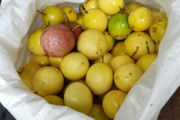 IMG-20250629-WA0026